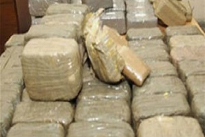 Kolda : la Douane saisit 117 kg de chanvre indien d’une valeur de plus de 7 millions de francs CFA