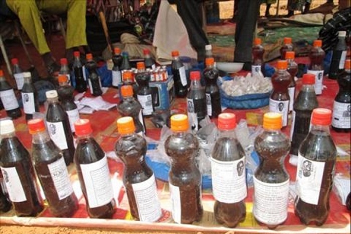 Médecine traditionnelle : les praticiens dénoncent des usurpations dans leur métier