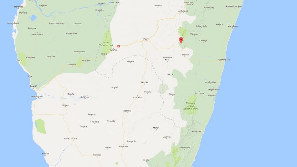 ​Madagascar: affrontements violents entre voleurs de zébus et gendarmes