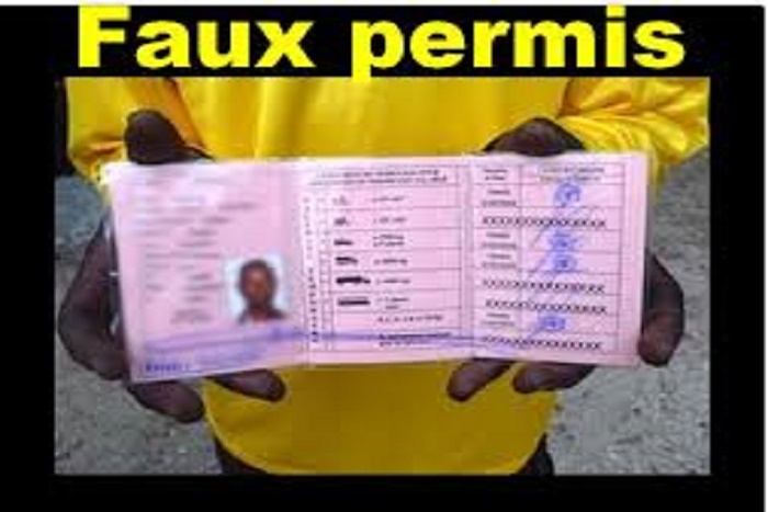 Le Directeur des transports routiers : « Plus de 2 millions de faux permis de conduire sont en circulation au Sénégal »
