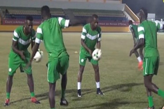 Matches amicaux des Lions en mars : La Guinée et le Nigeria en approche