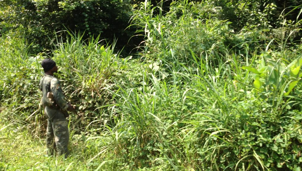 Heurts entre le M23 et les FARDC en RDC: la mise au point de l’armée