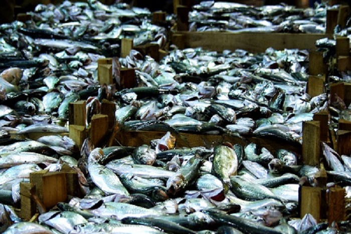 Grève des mareyeurs: le marché aux poissons confié au ministère de la Pêche