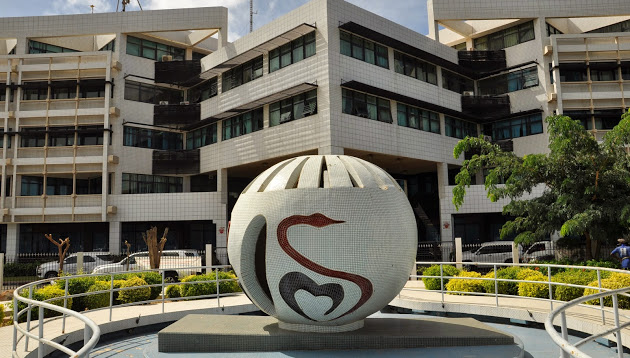 Panne de la radiothérapie de Dantec: Les révélations traumatisantes d'un médecin