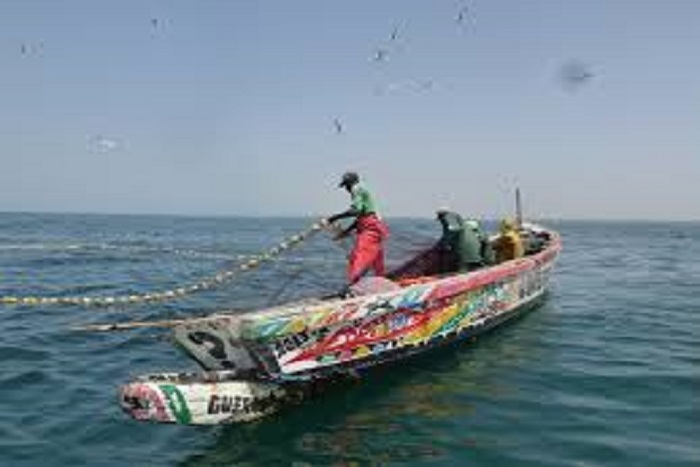 Licence de pêche : les autorités mauritaniennes vont ouvir leurs eaux  Sénégalais