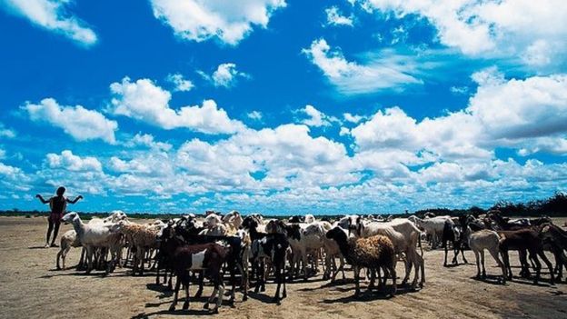 Mali : 7 morts au nord de Bamako