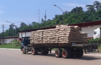 Côte d’Ivoire: Le gouvernement annonce un audit du système de commercialisation du Conseil Café-Cacao