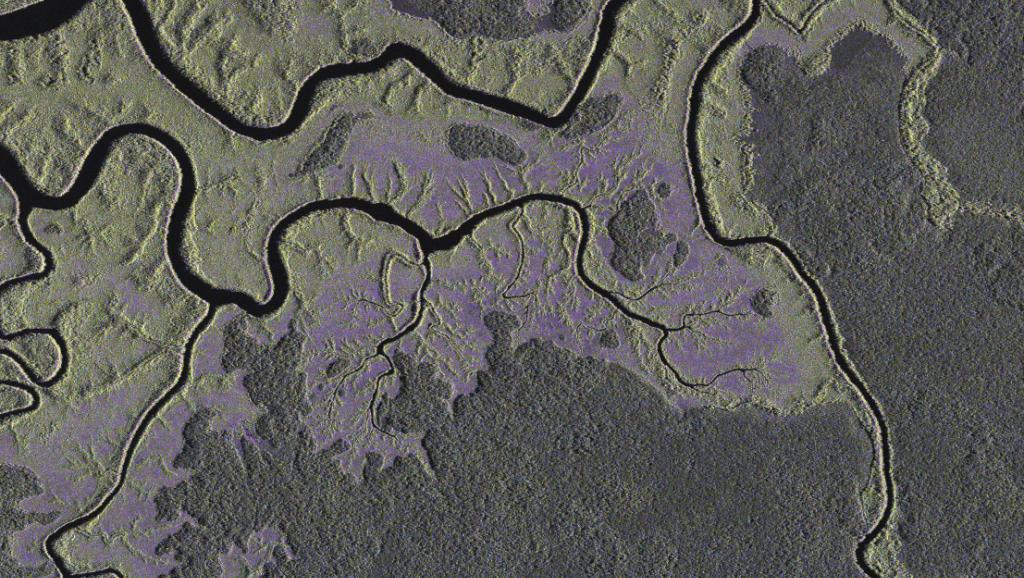 ​Congo-Brazzaville: entente pour un Fonds de protection du Bassin du Congo