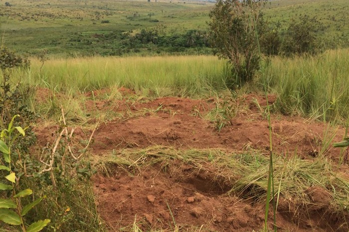 RDC: au moins 8 fosses communes découvertes autour de Tshimbulu