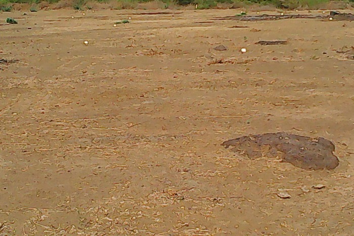 Litige foncier à Chérif Lo : Les habitants sur le pied de guerre