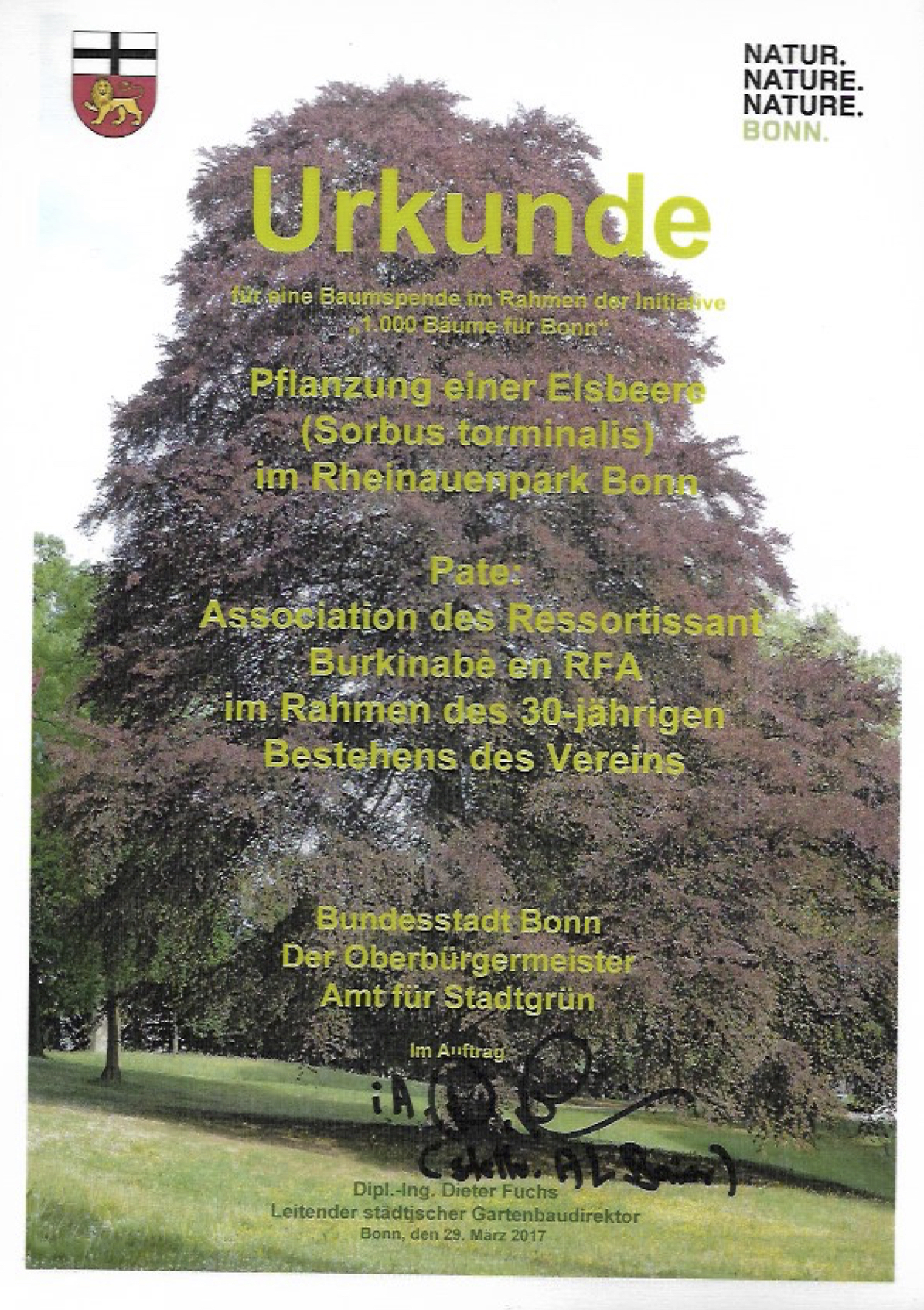 ​Allemagne : l’Arbre de l’intégrité burkinabè désormais au bord du Rhin