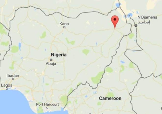 ​Un chien déjoue un attentat à Maiduguri