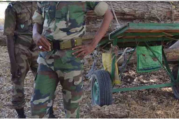 Mort de Sampa Dramé : les deux gardes forestiers libérés faute de preuves