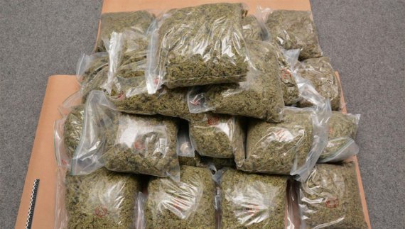 Saisie de 112 kilogrammes de chanvre indien sur l’axe Bignona-Kolda-Tambacounda