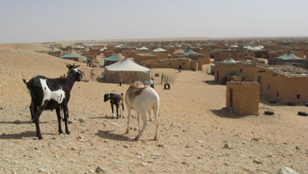 Sahara occidental: le Polisario salue la prochaine nomination de Horst Köhler