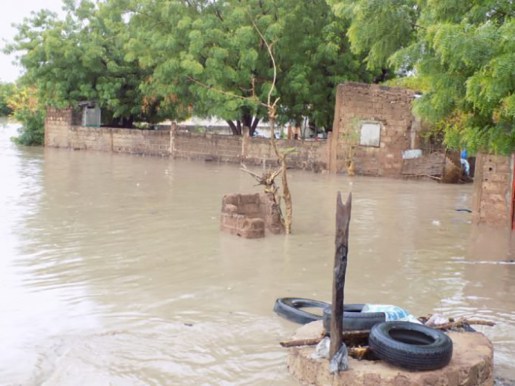 Première pluie à Tambacounda: les dégâts en images