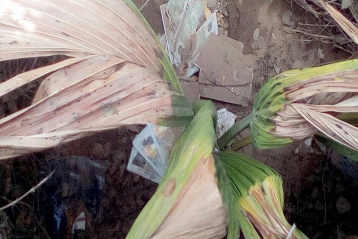 Kaolack-La Dic arrête 3 suspects dans l’affaire des cartes d’électeurs découvertes