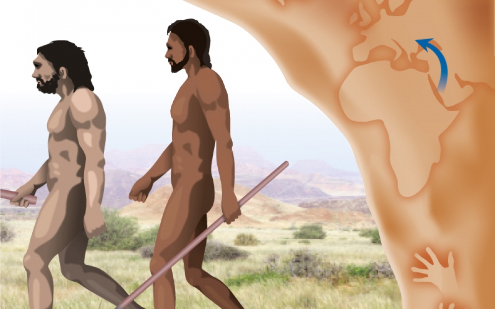 Le berceau de l'humanité ne serait peut-être pas en Afrique