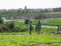 «Halte ! Il ne faut pas détruire la zone des Niayes», (environnementalistes)