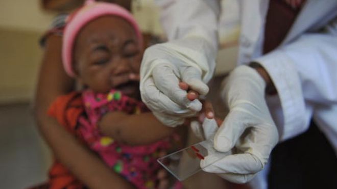 Gambie : le taux du paludisme en baisse
