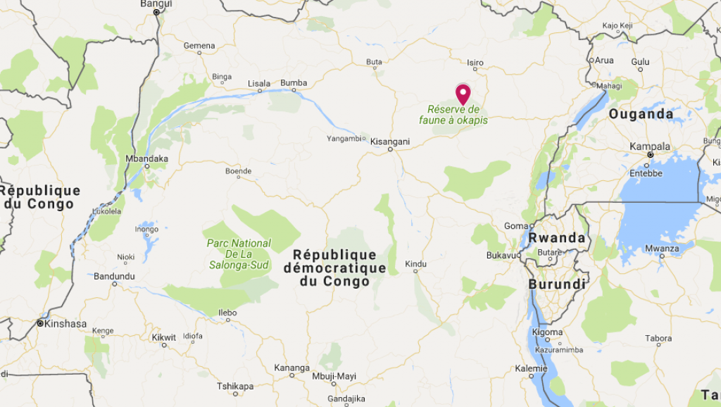 RDC: ce que l’on sait de la violente attaque de gardes d’une réserve de l’Ituri