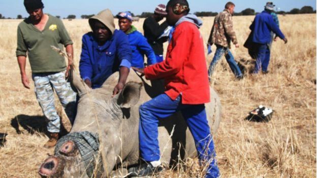 Une femme arrêtée avec des cornes de rhinocéros