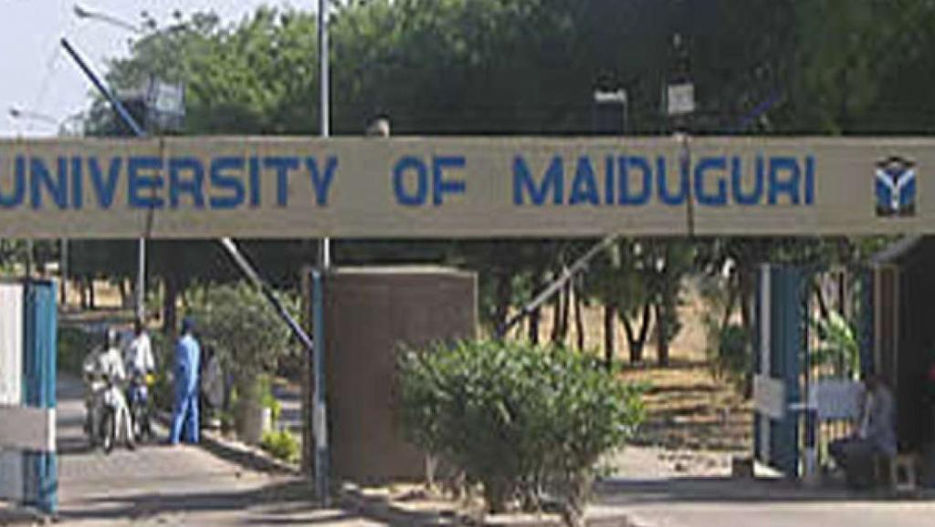 ​Attaque de Boko Haram au Nigeria: le bilan grimpe lourdement