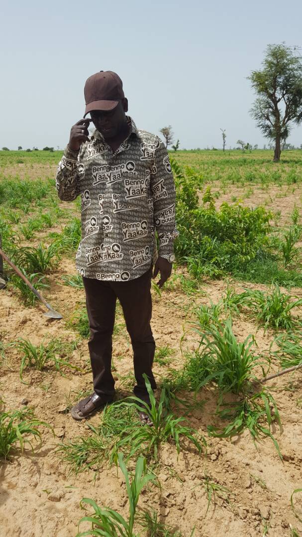 Commune de Ndiaganiao : Benno rafle la mise