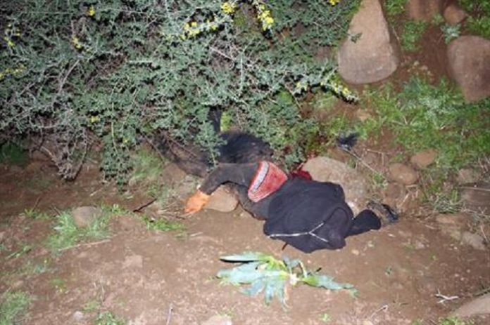 La gendarmerie de Ranérou arrête le présumé violeur et meurtrier de Ramatoulaye Mamadou Ly