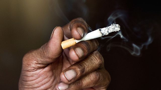 Place de l’Obélisque : Des expositions pour  alerter les populations sur les méfais du tabac