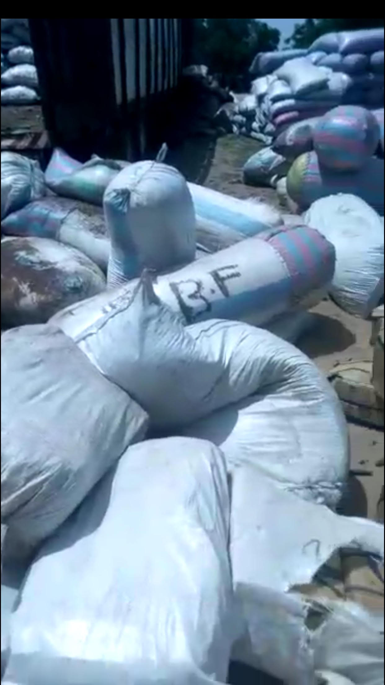 Kaolack : 586 kilogrammes de chanvre indien saisis, une personne arrêtée