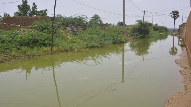 Inondations au Niger