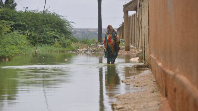 Inondations au Niger