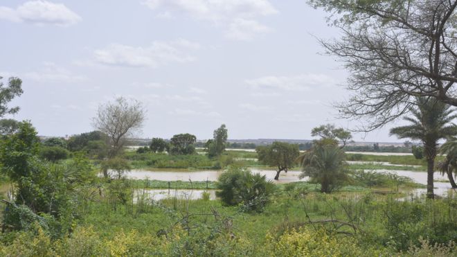 Inondations au Niger