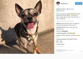 Dani Alves a perdu sa petite chienne et lance un appel sur Instagram pour la retrouver