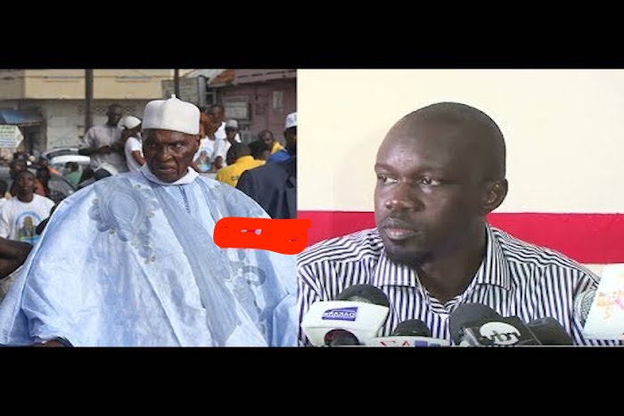Rencontre chez le Pape du Sopi : Que mijotent Wade et Ousmane Sonko ?