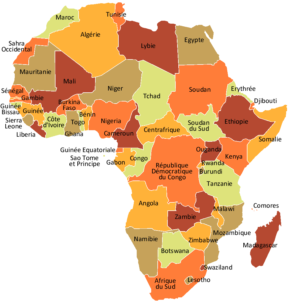 "Chronique Afrique Debout": « A quoi servent les bases militaires françaises en Afrique? (2ème partie) »
