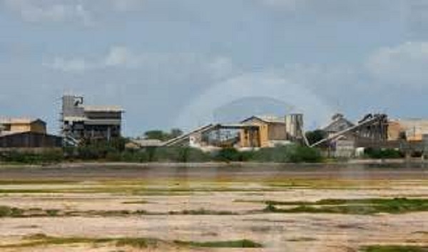 «Les pertes à la Sonacos de Lindiane sont de 2 milliards FCFA en lieu et place des 400 millions» (Syndicalistes)