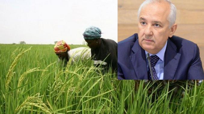 Affectation de 10 000 hectares de terres à une société marocaine: La Raddho part en guerre contre l'Etat