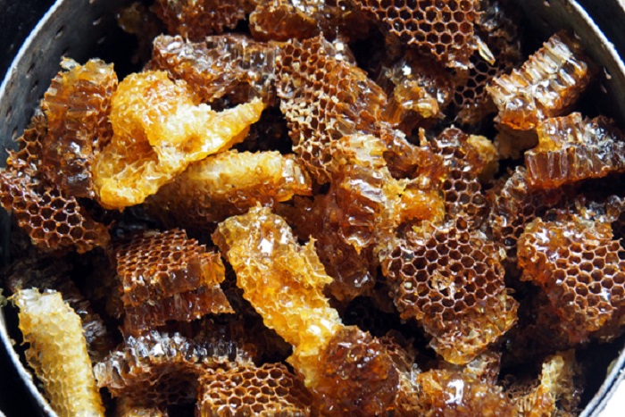 Apiculture : le Sénégal veut atteindre 1000 tonnes/an