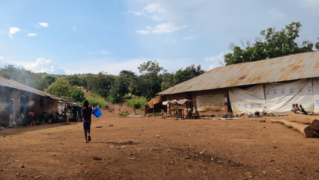 Crise dans le Pool: les propositions de l'UPADS pour les couloirs humanitaires