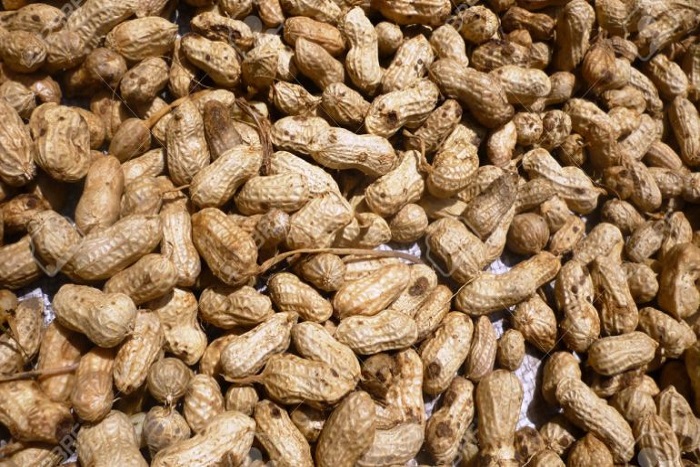 Nuages sur la campagne arachidière : la Copega menace de se retirer si…