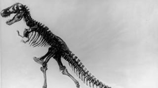 Lesotho : découverte d'un dinosaure géant