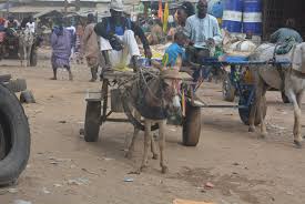 Magal 2017 : A 48 heures de l'événement , Touba commence à refuser du monde (Images) 