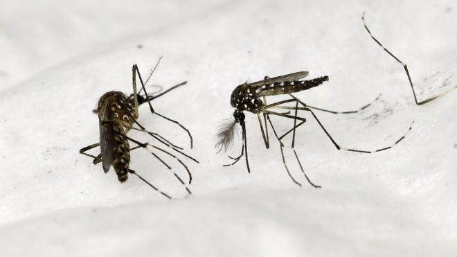 Un prototype d'alcootest pour dépister le paludisme