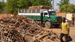 Amina Mohamed accusée de trafic de bois rose