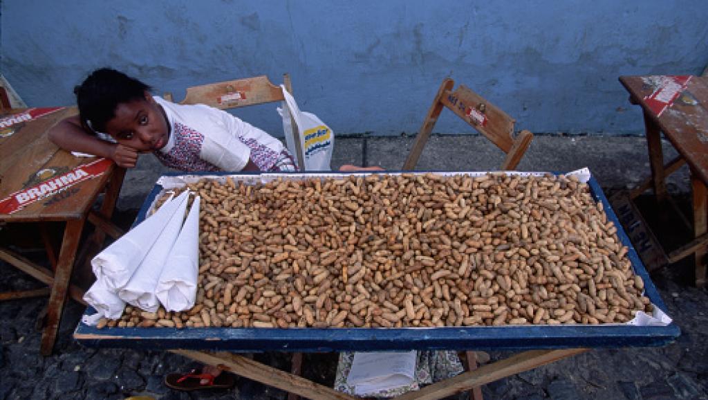 Brésil: le travail des enfants au coeur d'une étude alarmante