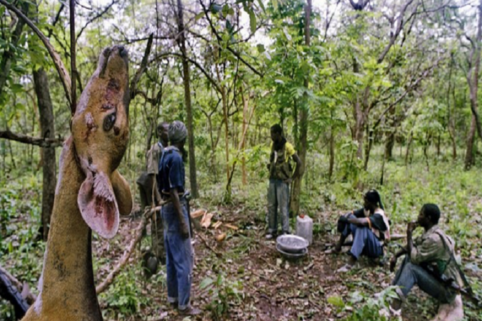 Traitement de la tuerie de Bofa : le MFDC met en garde les médias