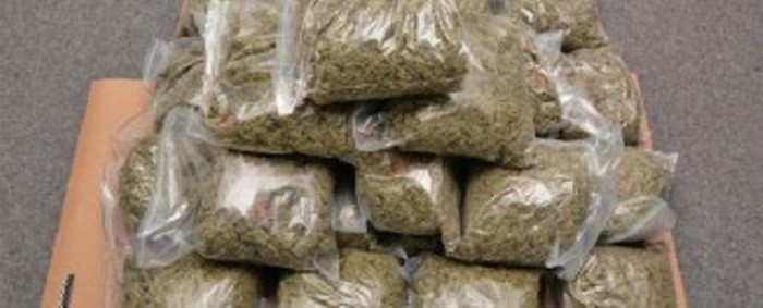 ​Ziguinchor : Massaer Dieng alias « l’artiste » interpellé avec 800 grammes de chanvre indien