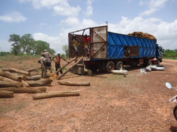 Tuerie de Bofa : Les victimes n'étaient pas des exploitants forestiers, selon Mamadou Salif Mbaalo
